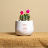 Pensa credi sogna osa