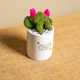 Sorelle non di sangue ma per scelta