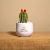 Auguri a te, donna speciale