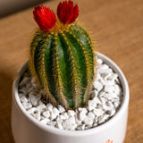 Auguri a te, donna speciale