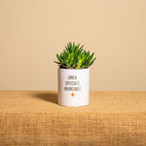 Unica, speciale, invincibile