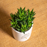 Unica, speciale, invincibile