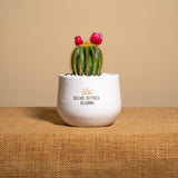 Sei luce, sei forza, sei donna