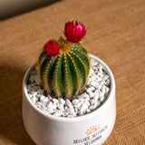 Sei luce, sei forza, sei donna