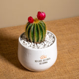 Sei luce, sei forza, sei donna