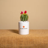 Sei il fiore più prezioso