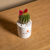 Sei il fiore più prezioso