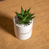 Regina indiscussa della casa