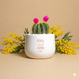 Pensa credi sogna osa