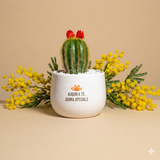 Auguri a te, donna speciale