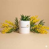 Regina indiscussa della casa