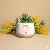 Mamma sei il mio esempio