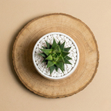 Sei la mia sveglia preferita