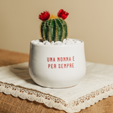 Una nonna è per sempre