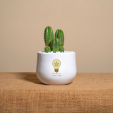 Hai acceso i nostri sogni