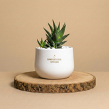 Quando siete felici fateci caso