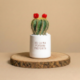 Sei la mia persona preferita