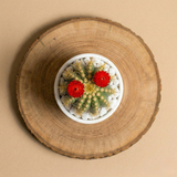 Sei la mia persona preferita